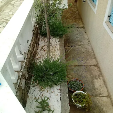 Apartment Frani 1 *